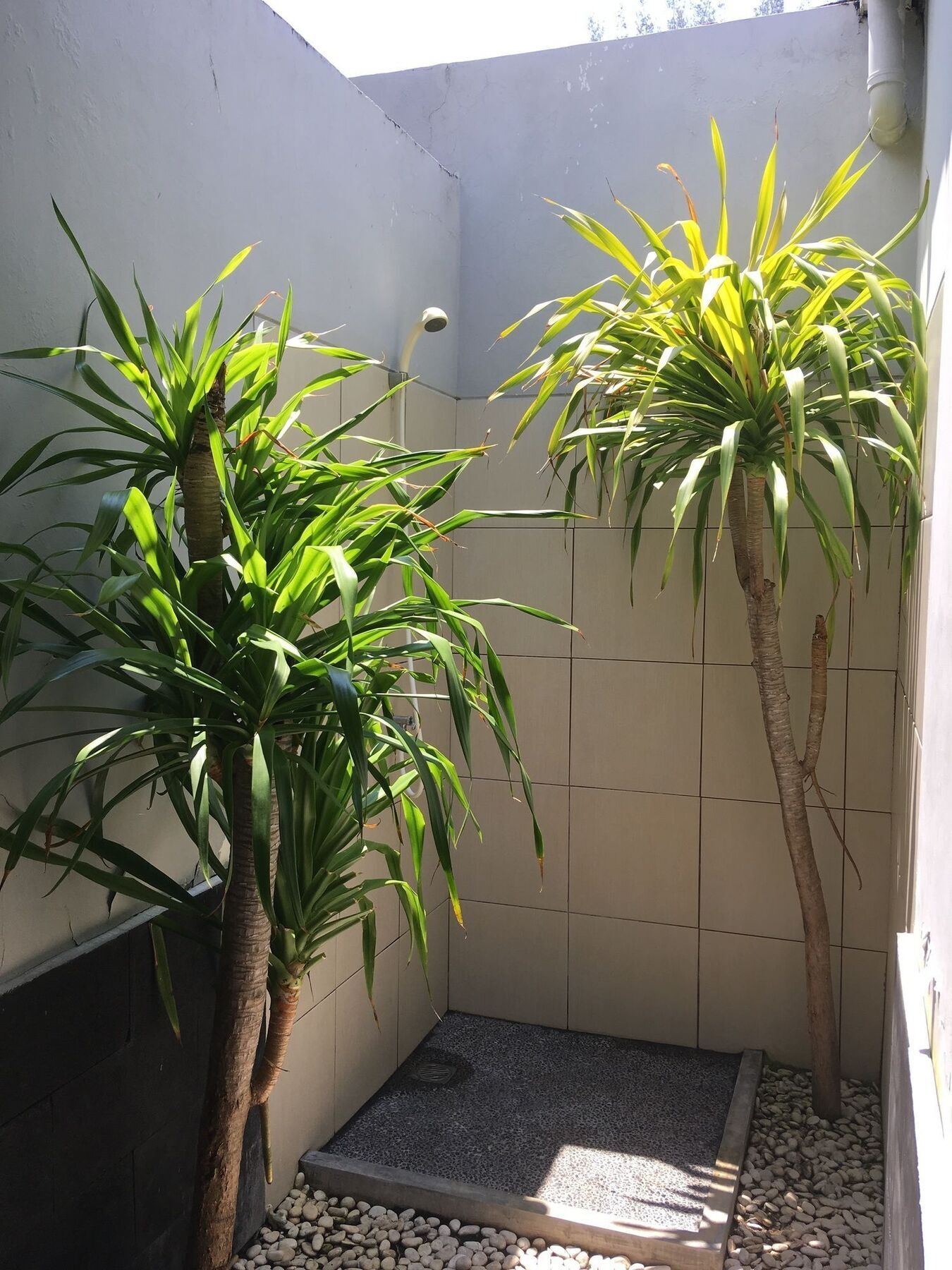 Alexyane Paradise Bungalow غيلي تراوانغان المظهر الخارجي الصورة