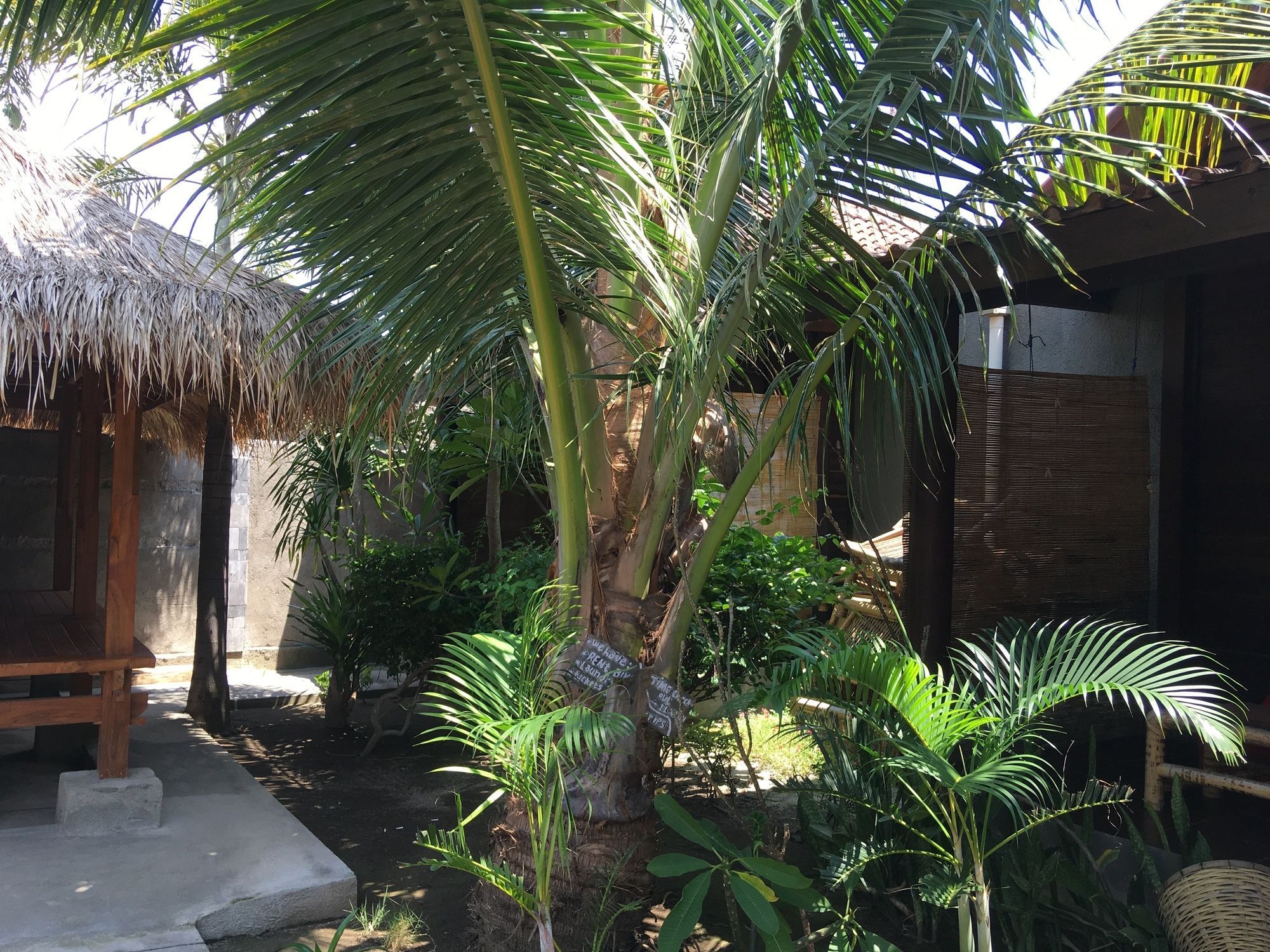 Alexyane Paradise Bungalow غيلي تراوانغان المظهر الخارجي الصورة